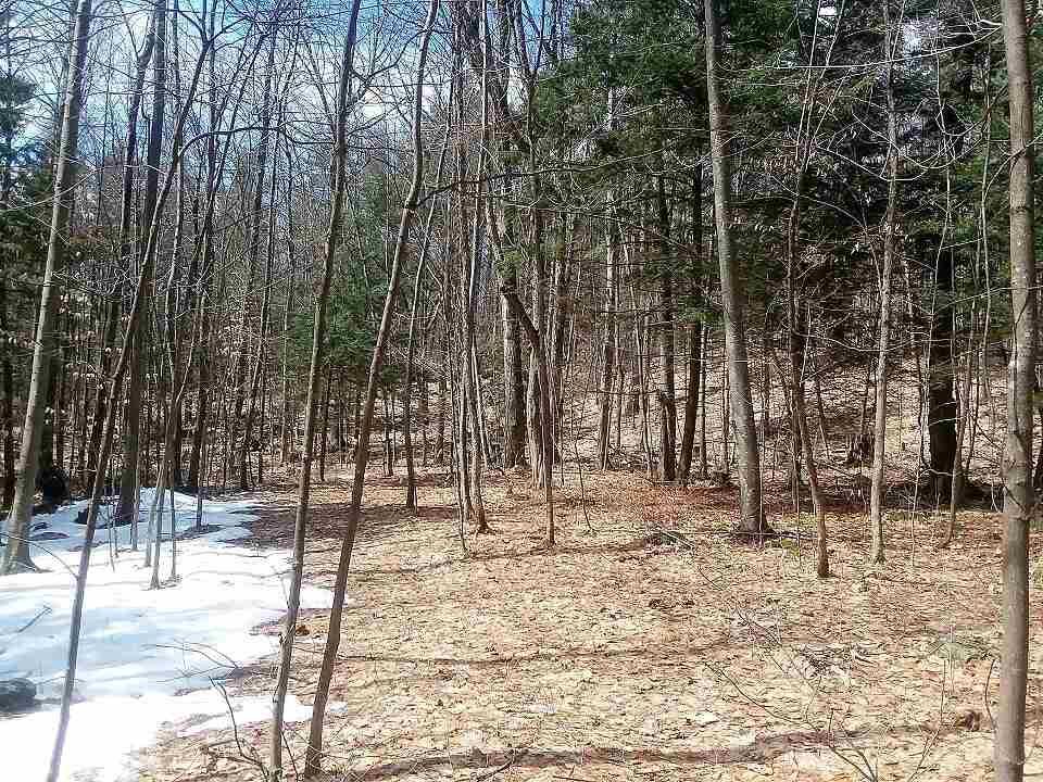 tbd Windswept Way - Photo 1