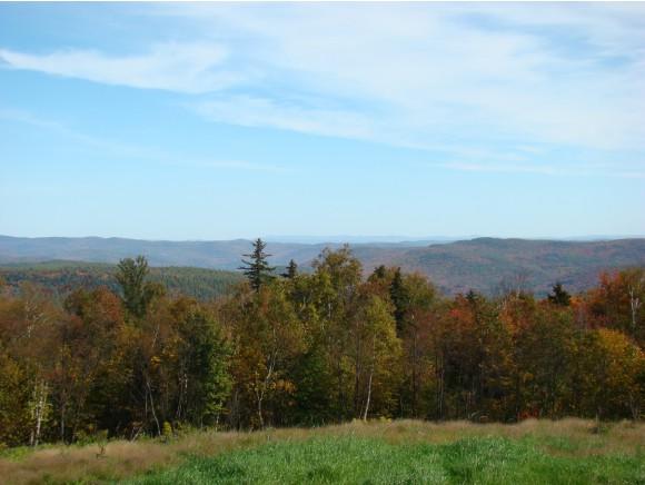 Lot 5 Streeter Farm/Hammond Hill Road - Photo 1