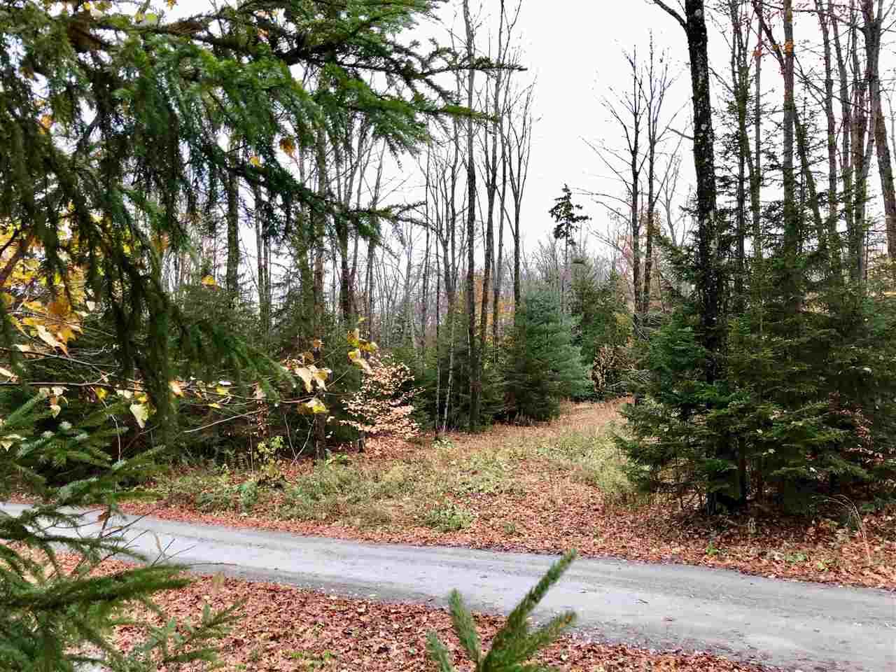280 Woods Road - Photo 1