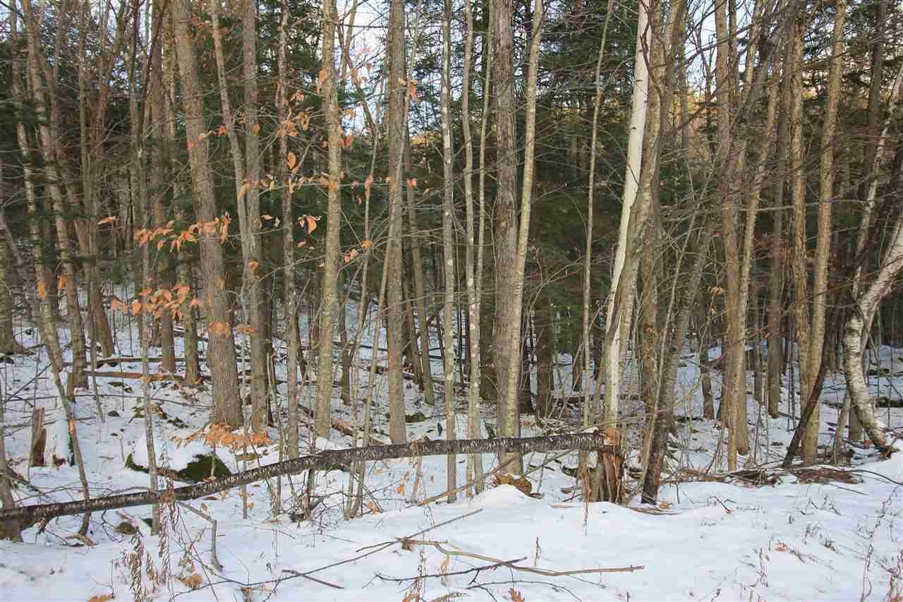 12-7-34 High Brook Road - Photo 1