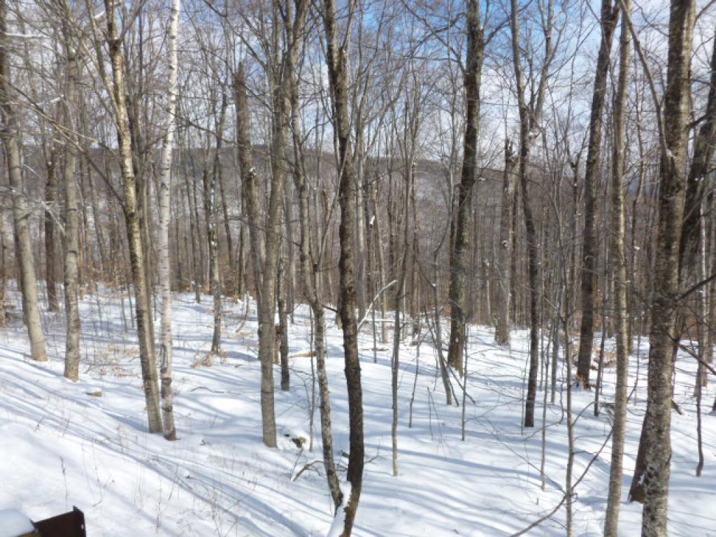 000 Trailview Drive - Photo 1