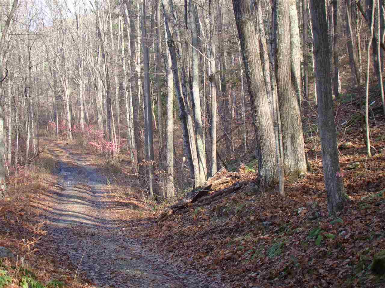 00 True Blue Road - Photo 1