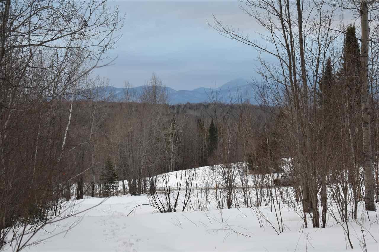 3991 Vt Route 58E Route - Photo 1