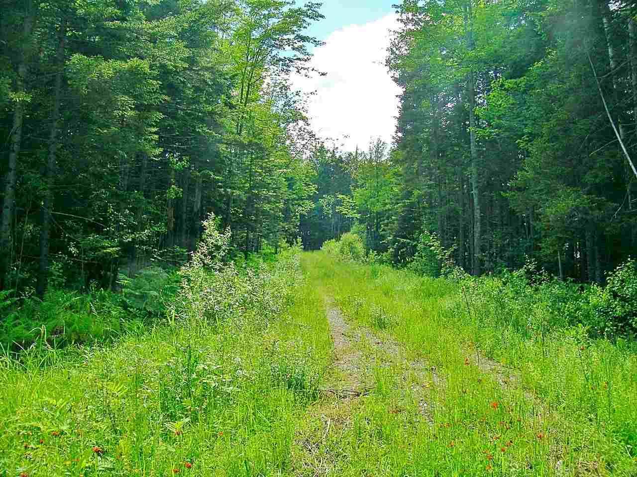 Lot #19 Campbell Road - Photo 1
