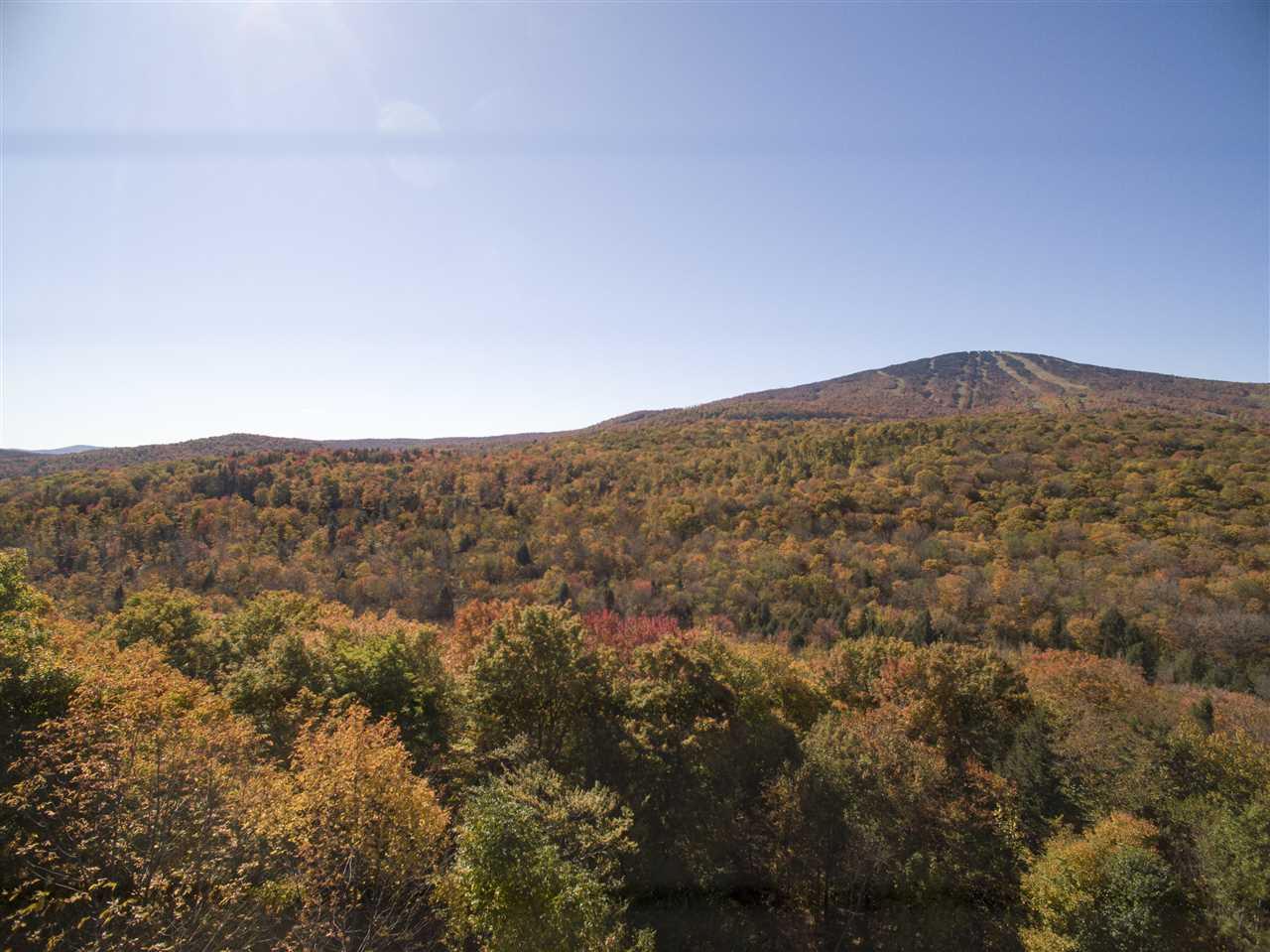 4,5 Forest Haunts Road - Photo 1