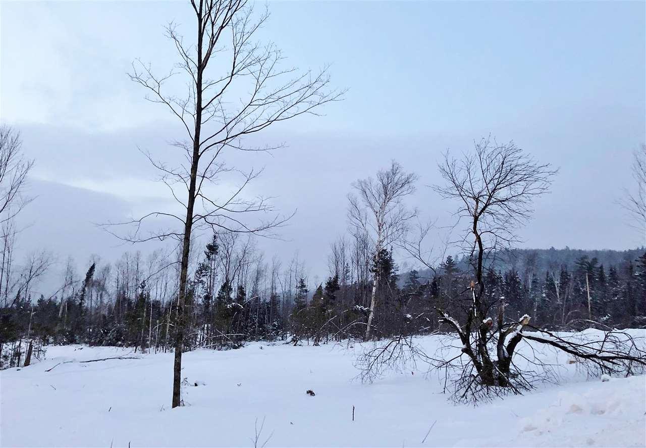 Map 193 Lot 52 52 York Pond Road - Photo 1
