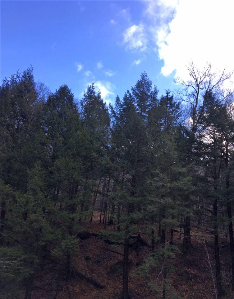 Lot 3 Pike Farm Road - Photo 1