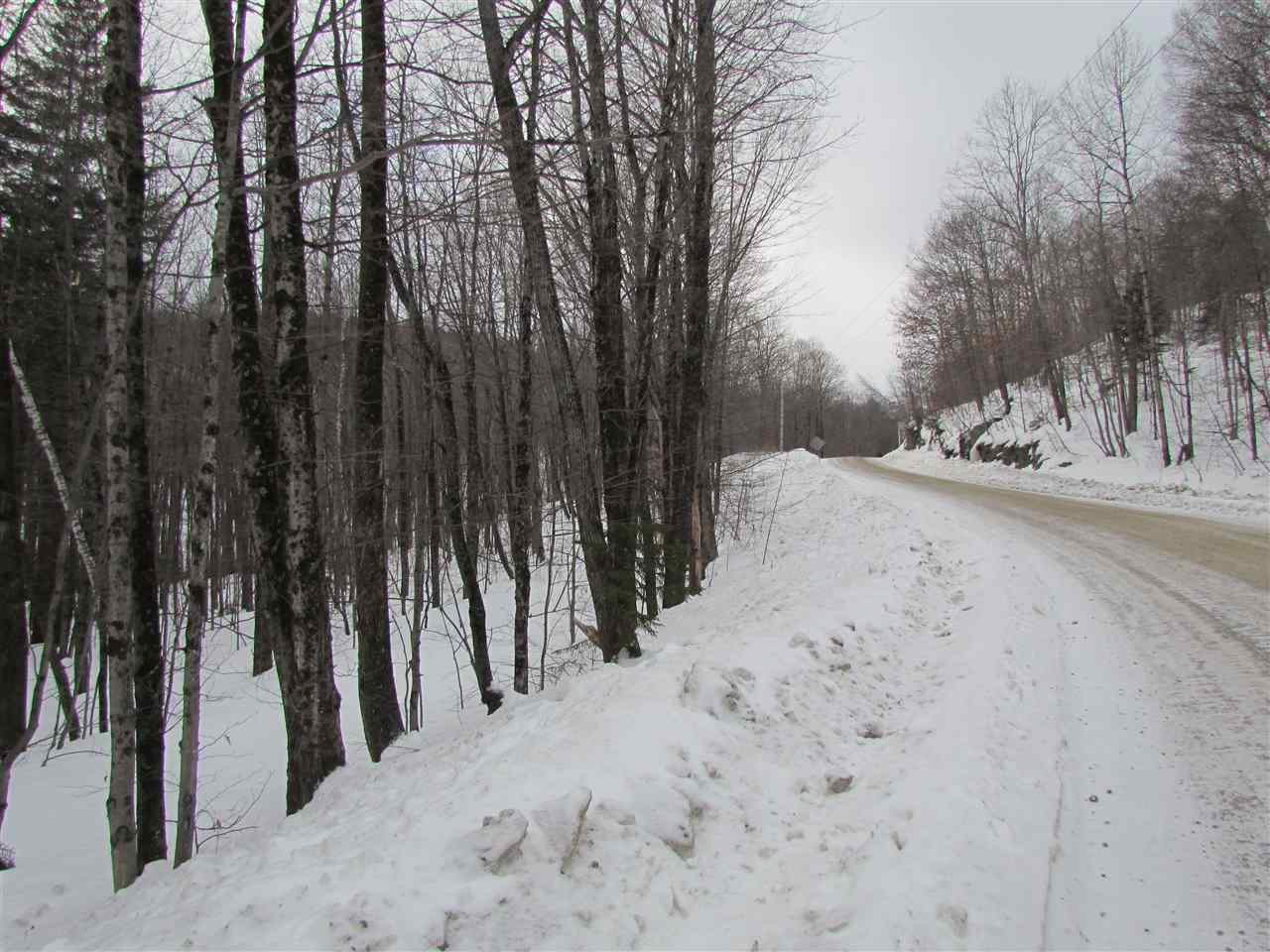 0 Moretown Mountain Road - Photo 1