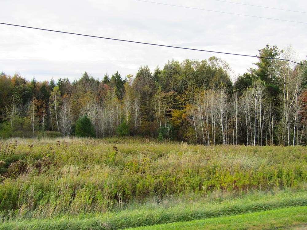 15 Memorial - Photo 1