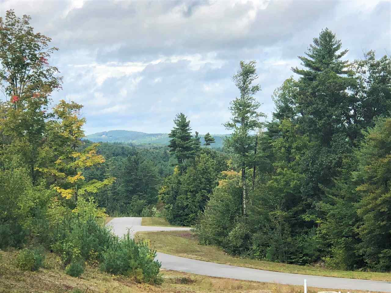Lot 30 Ski Tow Road - Photo 1