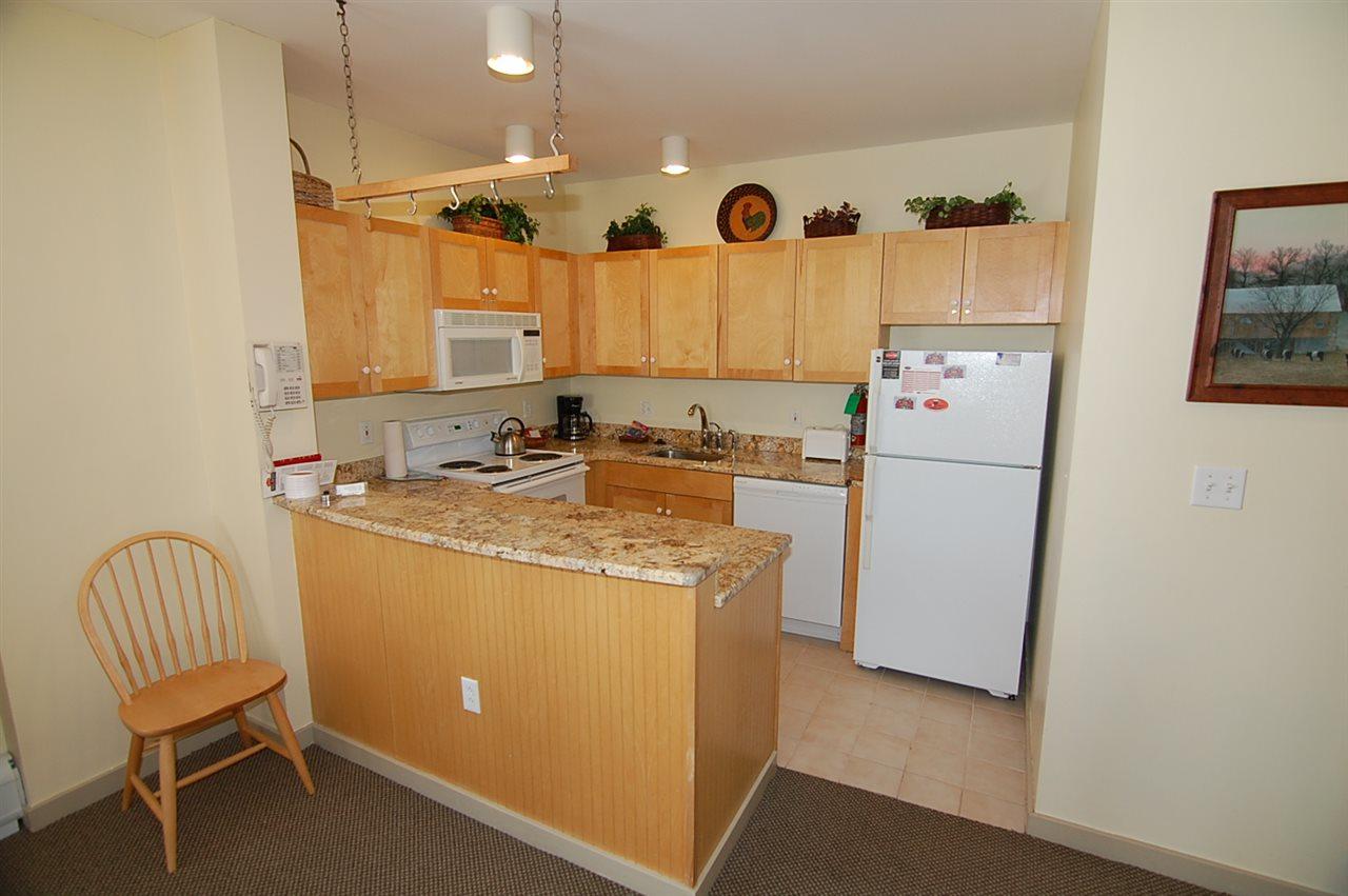 771 Stratton Mountain Access Road Road - Photo 1