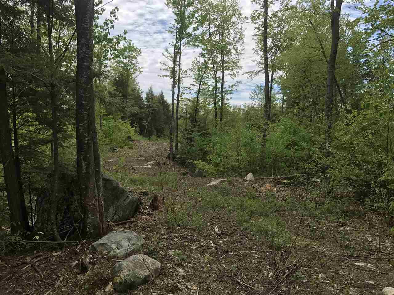Lot 77-x-5 Ray Road - Photo 1