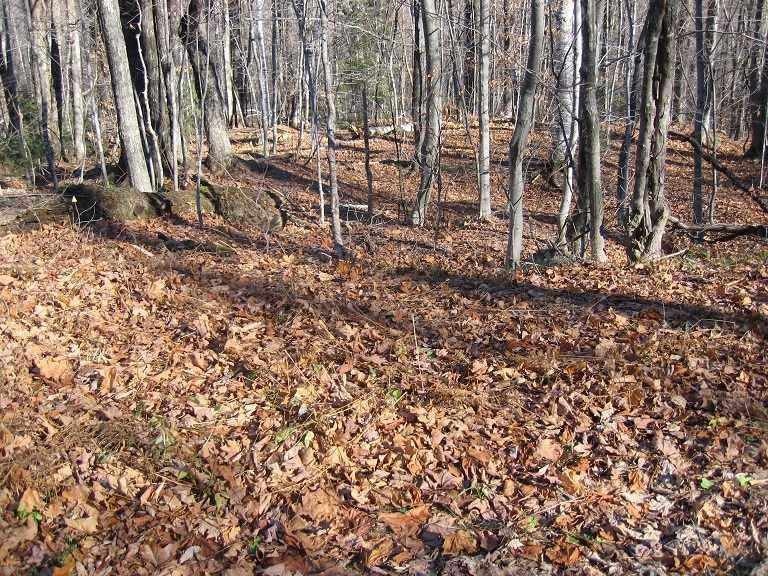 0 Birch Hill Road - Photo 1