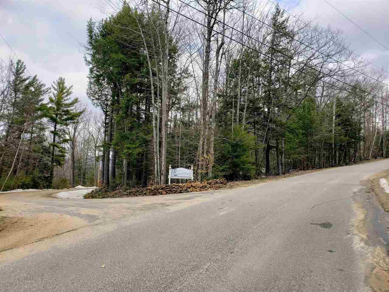 Lot 1 Snowood Drive - Photo 1