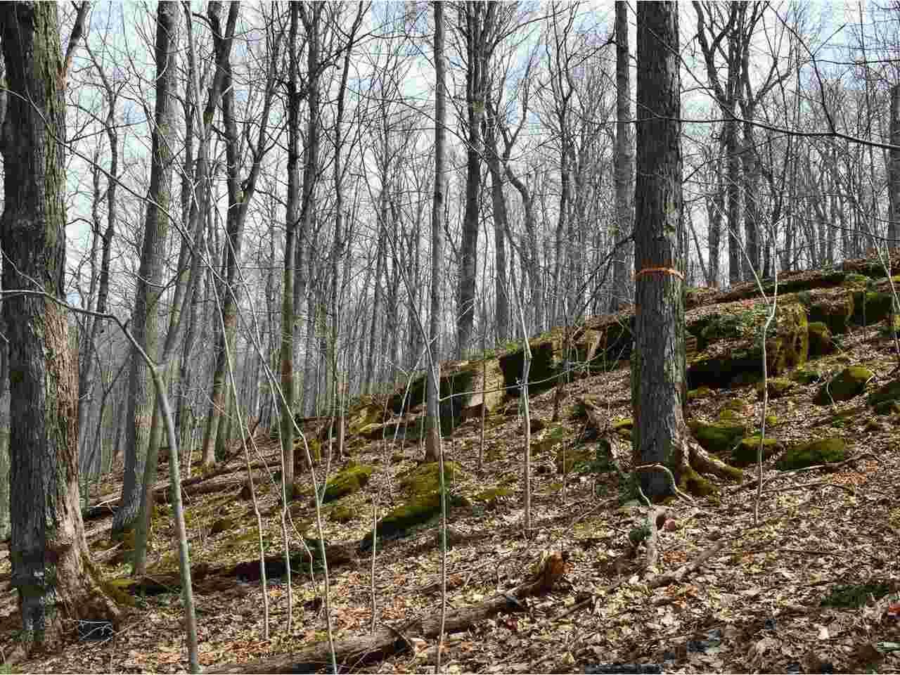Lot 1A South Olde Carriage Road - Photo 1