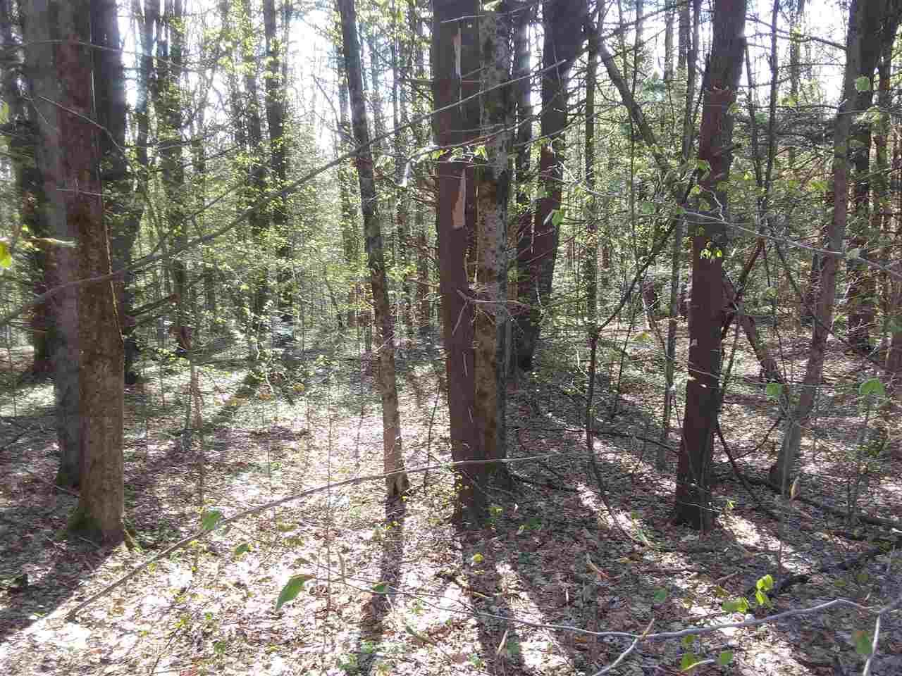 0 Watson Road - Photo 1