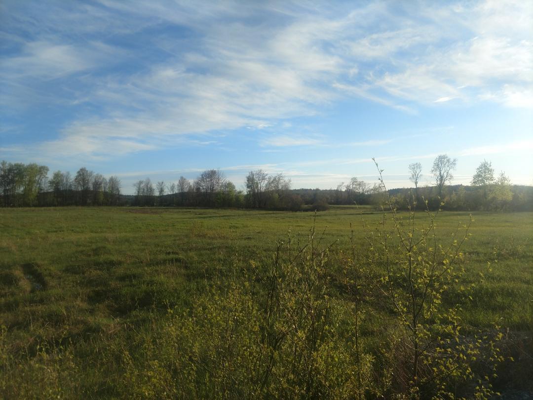 Off South Road - Photo 1
