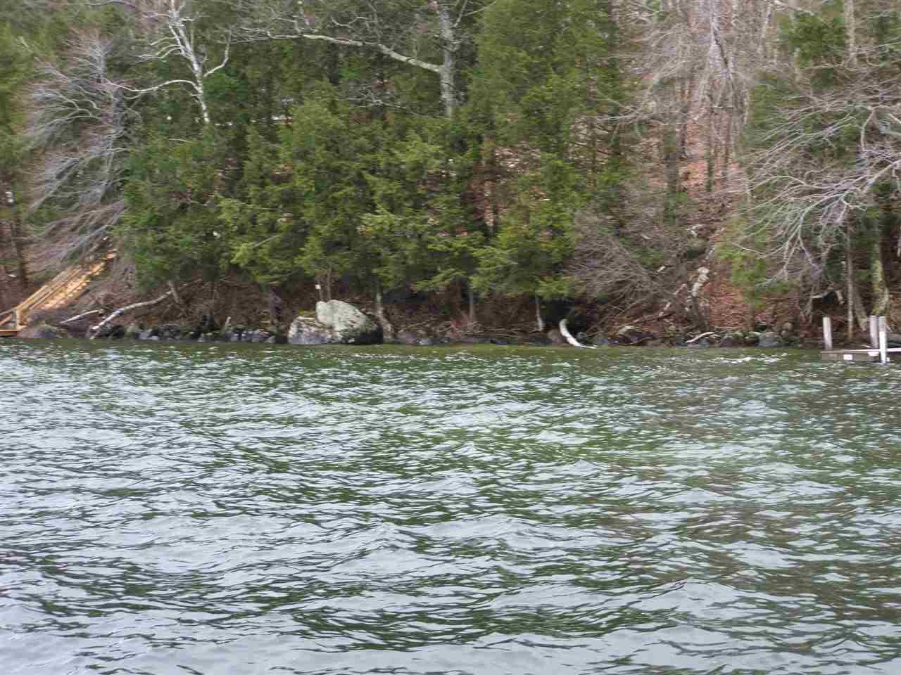 115 Rattlesnake Island - Photo 1