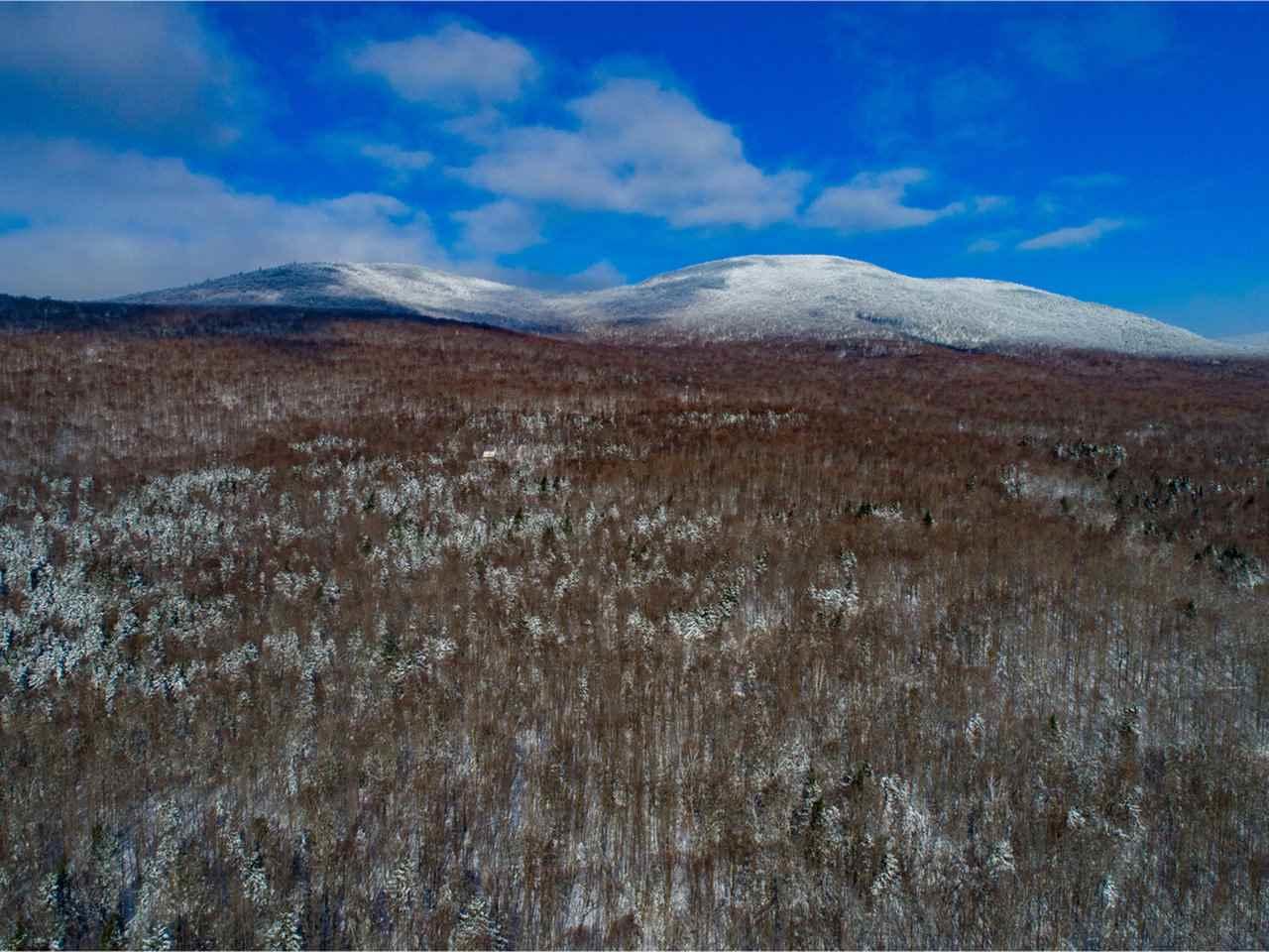 3187 Black Falls Road - Photo 1