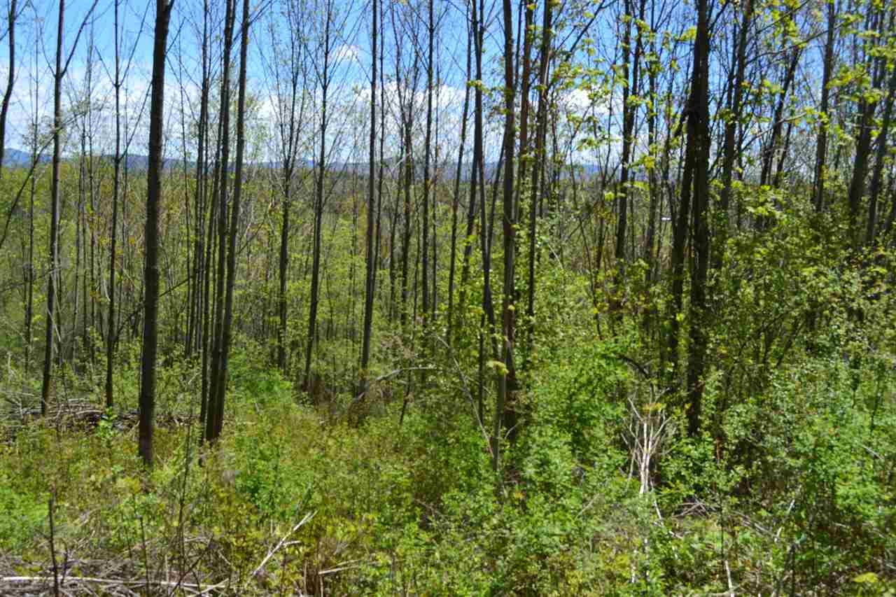 TBD Snake Mountain Road - Photo 1