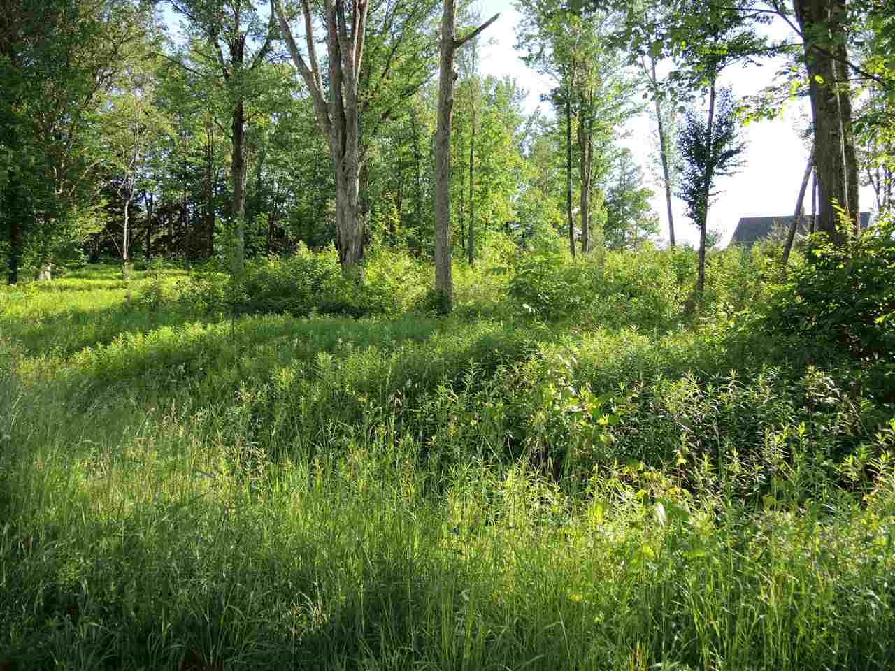 Lot #44 Marolin Acres - Photo 1