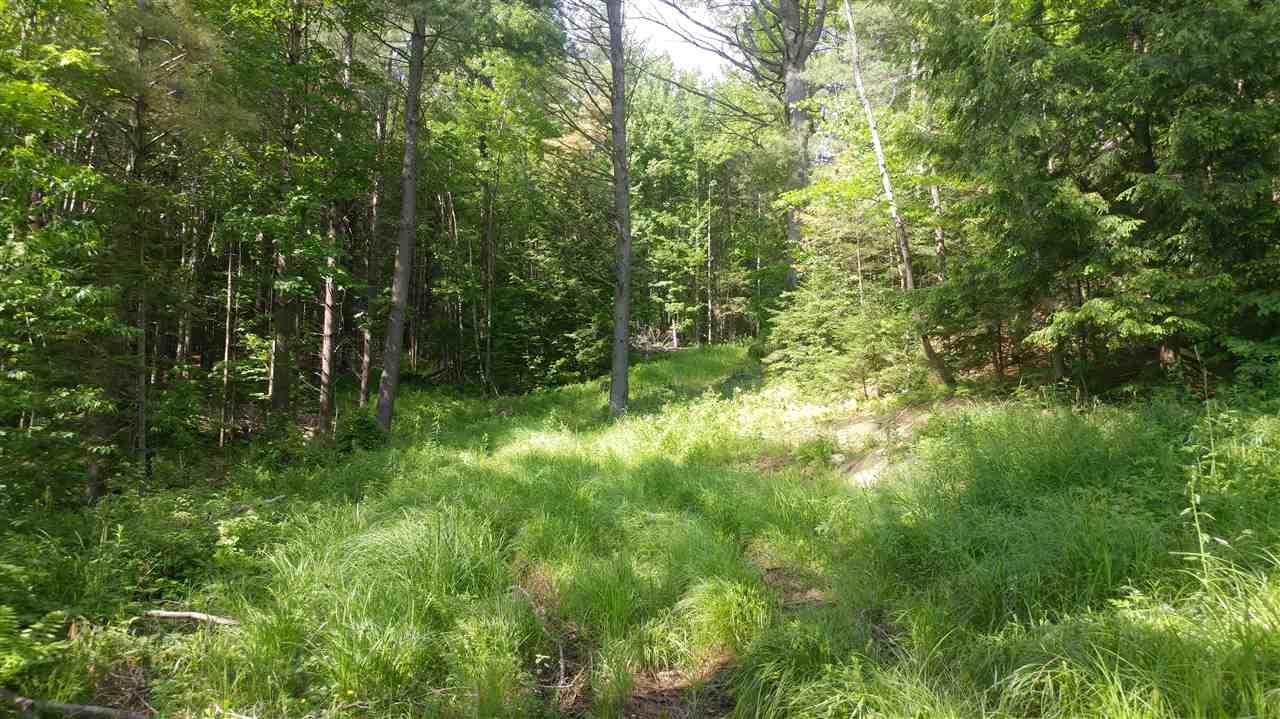 00 South Bear Swamp Road - Photo 1 00 South Bear Swamp Road - Photo 1