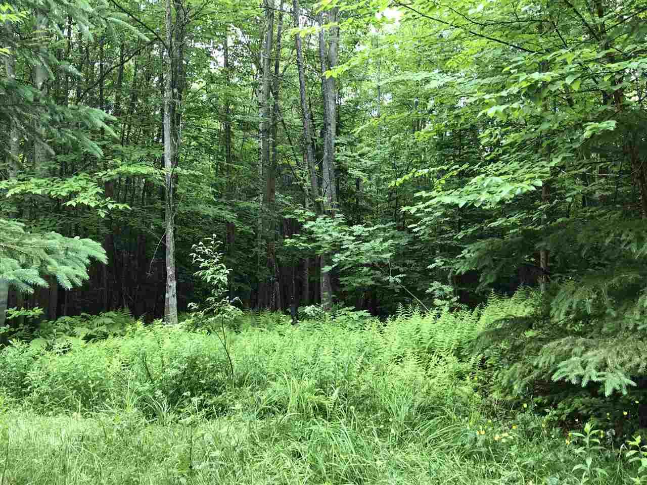 222 Brooks Park Road - Photo 1