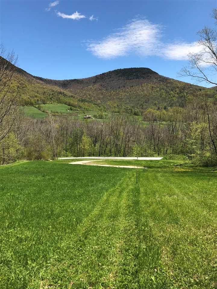 1741A Upper Hollow Road - Photo 1
