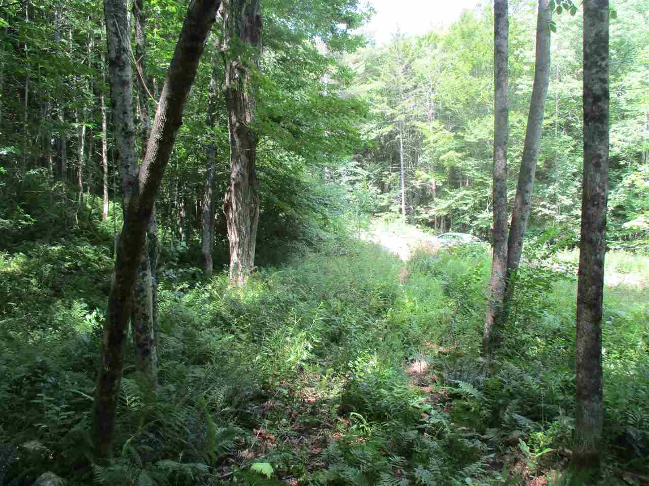 0 Twin Ponds Road - Photo 1