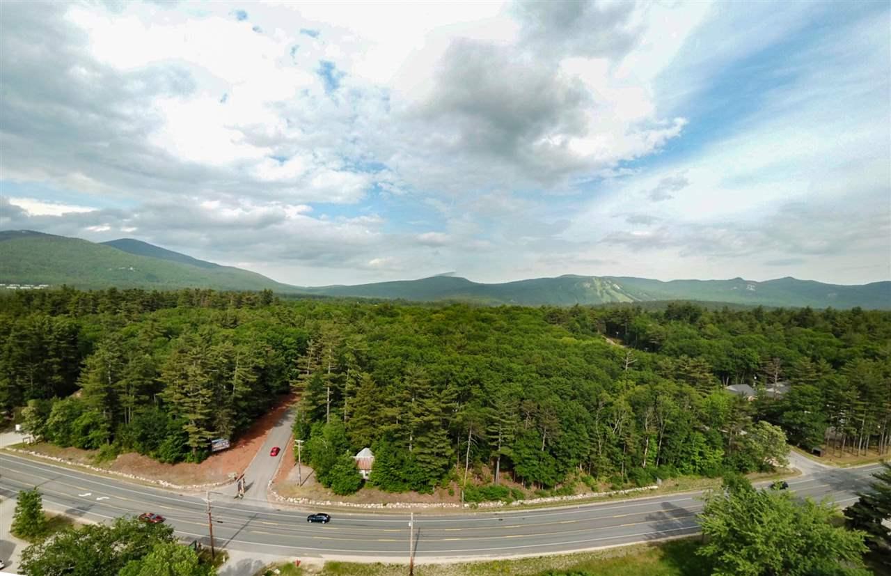 3339 White Mountain Highway - Photo 1
