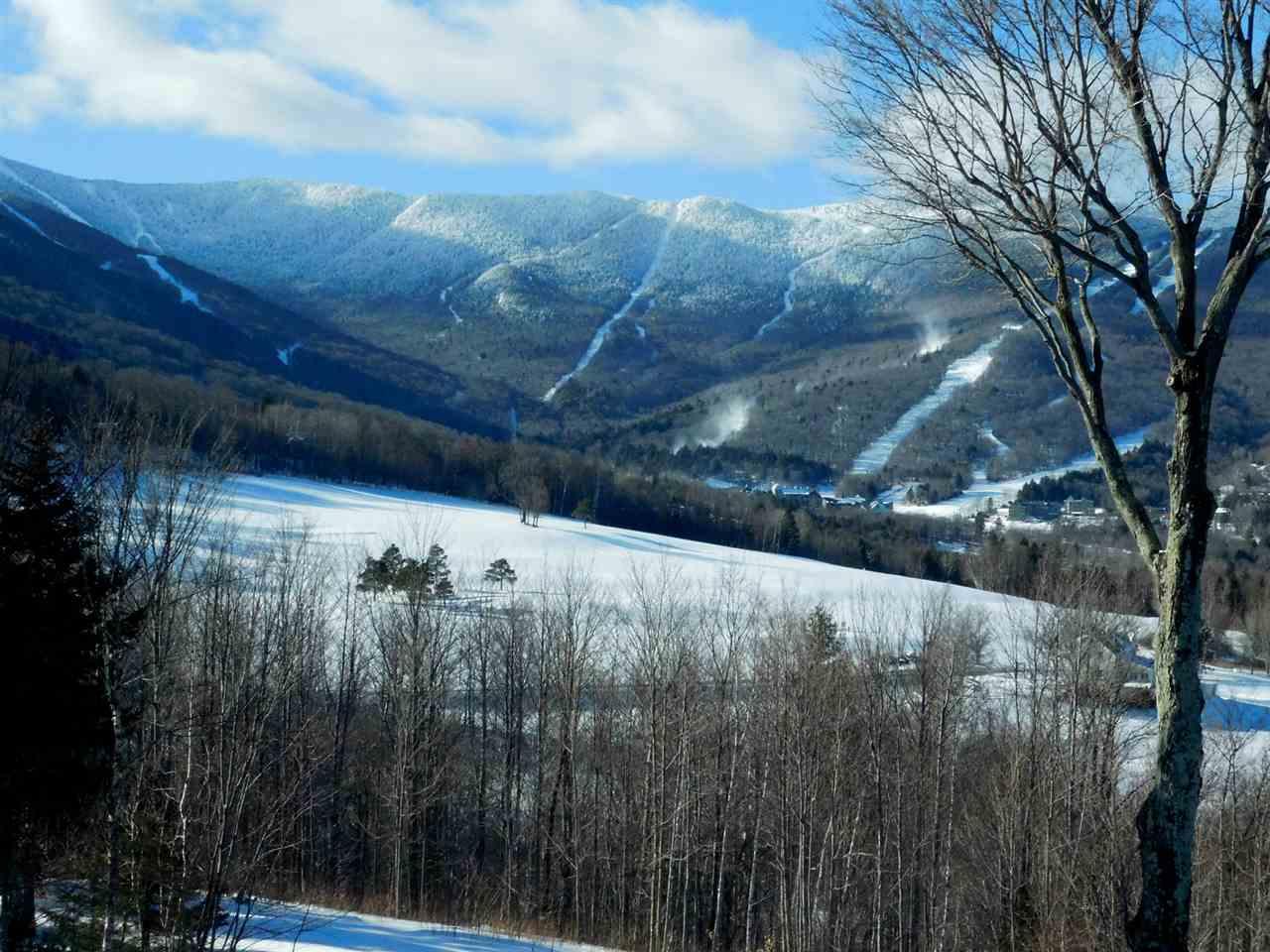 10 Farms Mountain View Unit 16A Lane - Photo 1