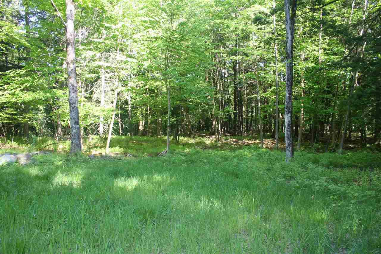 Moose Run Lane - Photo 1 Moose Run Lane - Photo 1