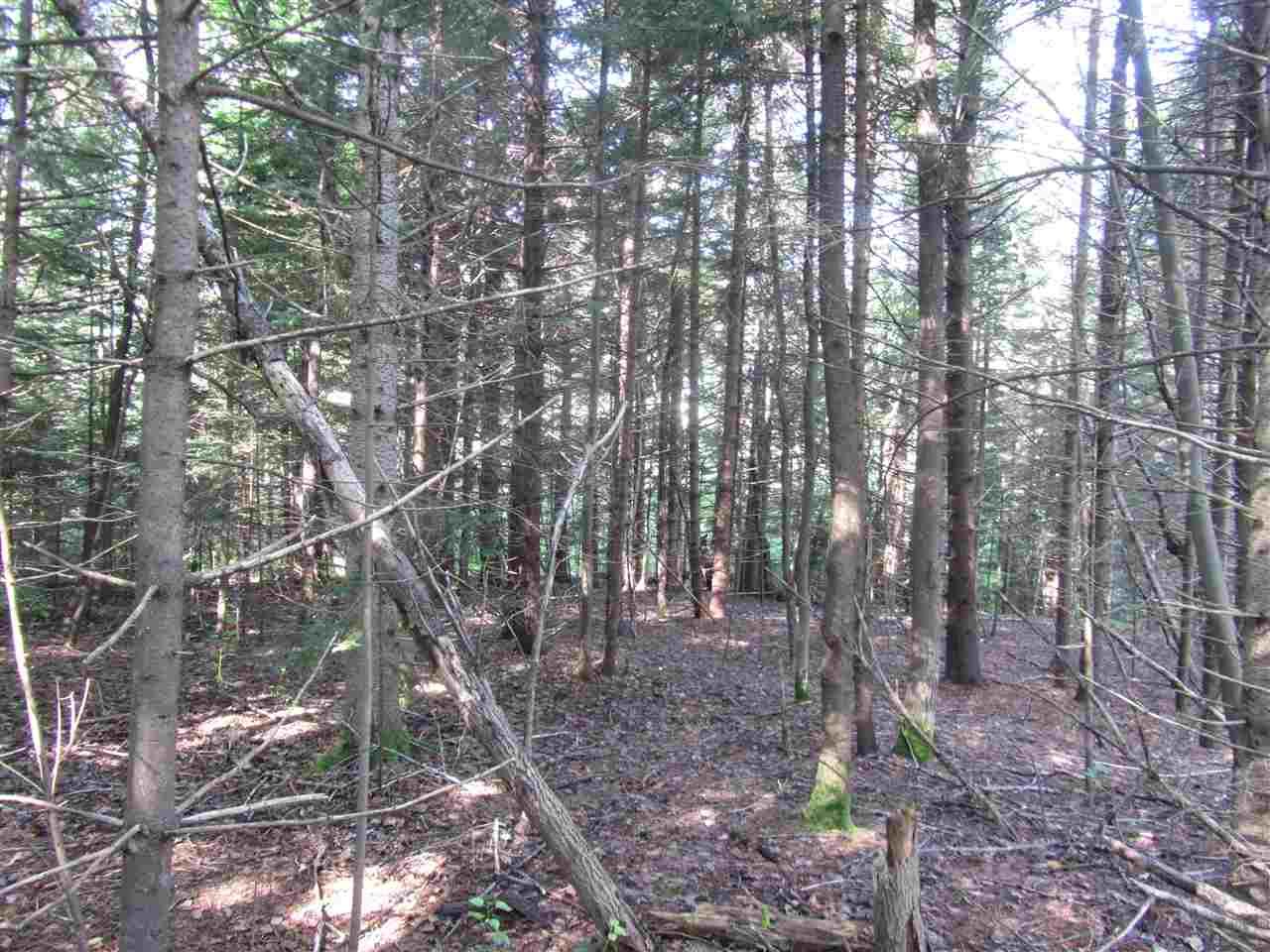 0 Vt Rt 64 Route - Photo 1