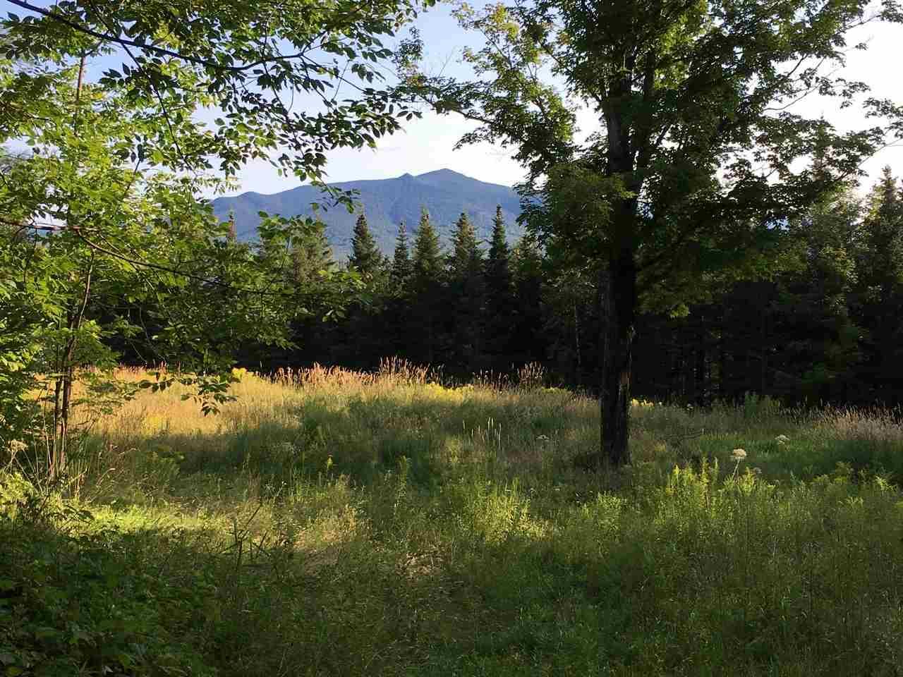 943 Presidential Highway - Photo 1