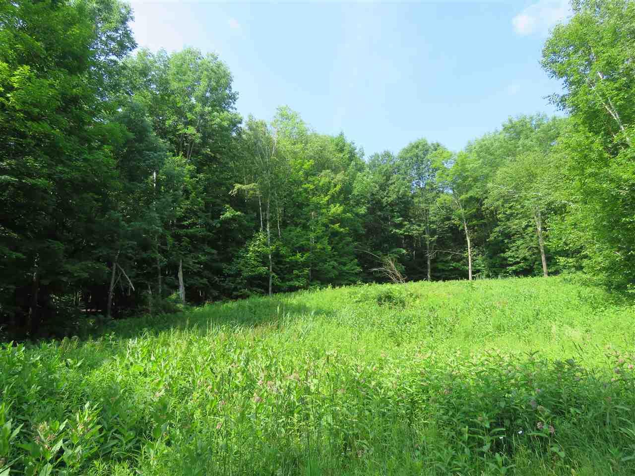 307 Birch View Drive - Photo 1