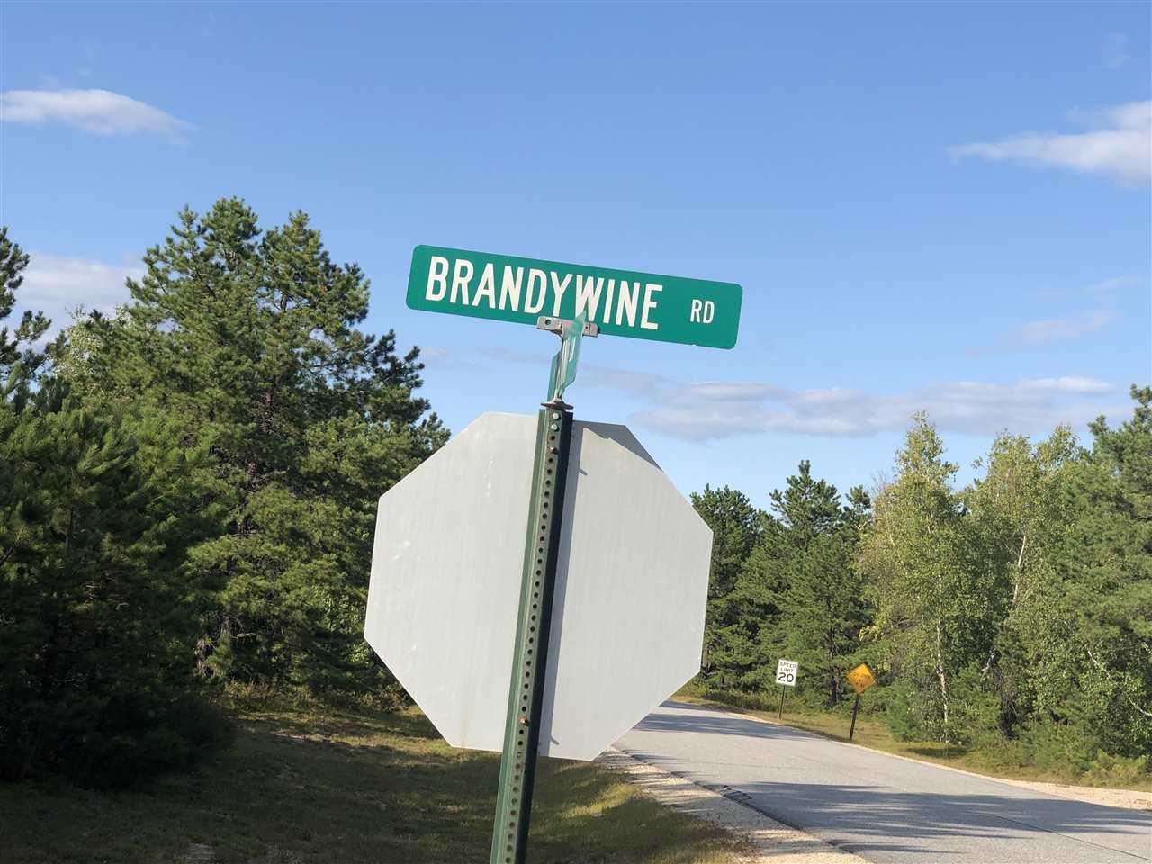Brandywine Road - Photo 1