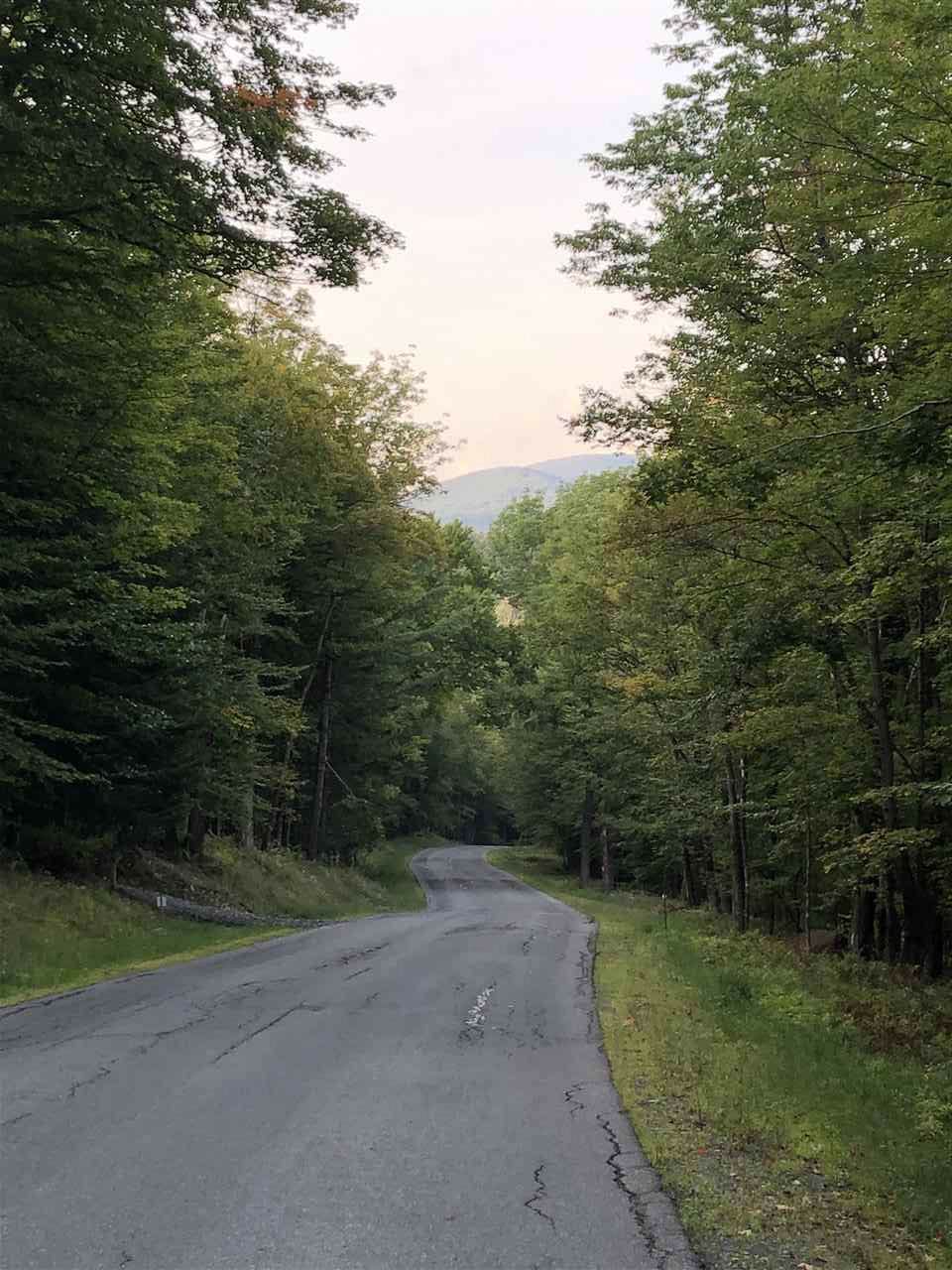 Lt 4 Branch Hill Road - Photo 1