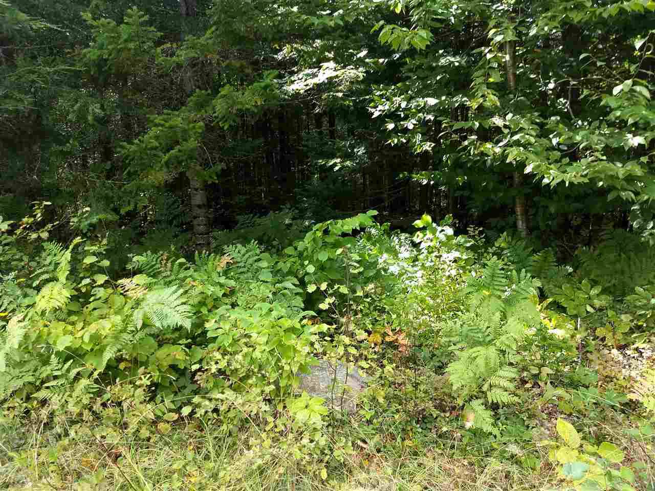 0 Maillet Road - Photo 1