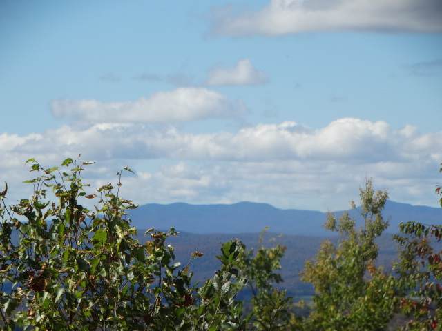2.1 Crawford Road - Photo 1