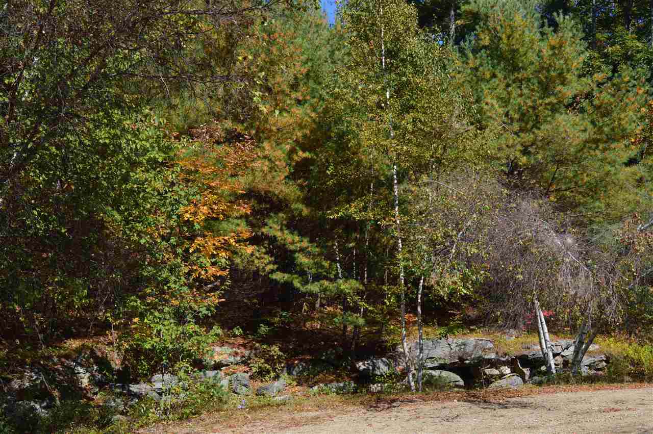 4 Sagamore Ridge - Photo 1