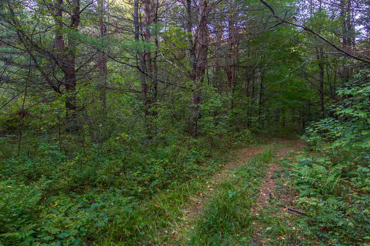 Lost River Road - Photo 1