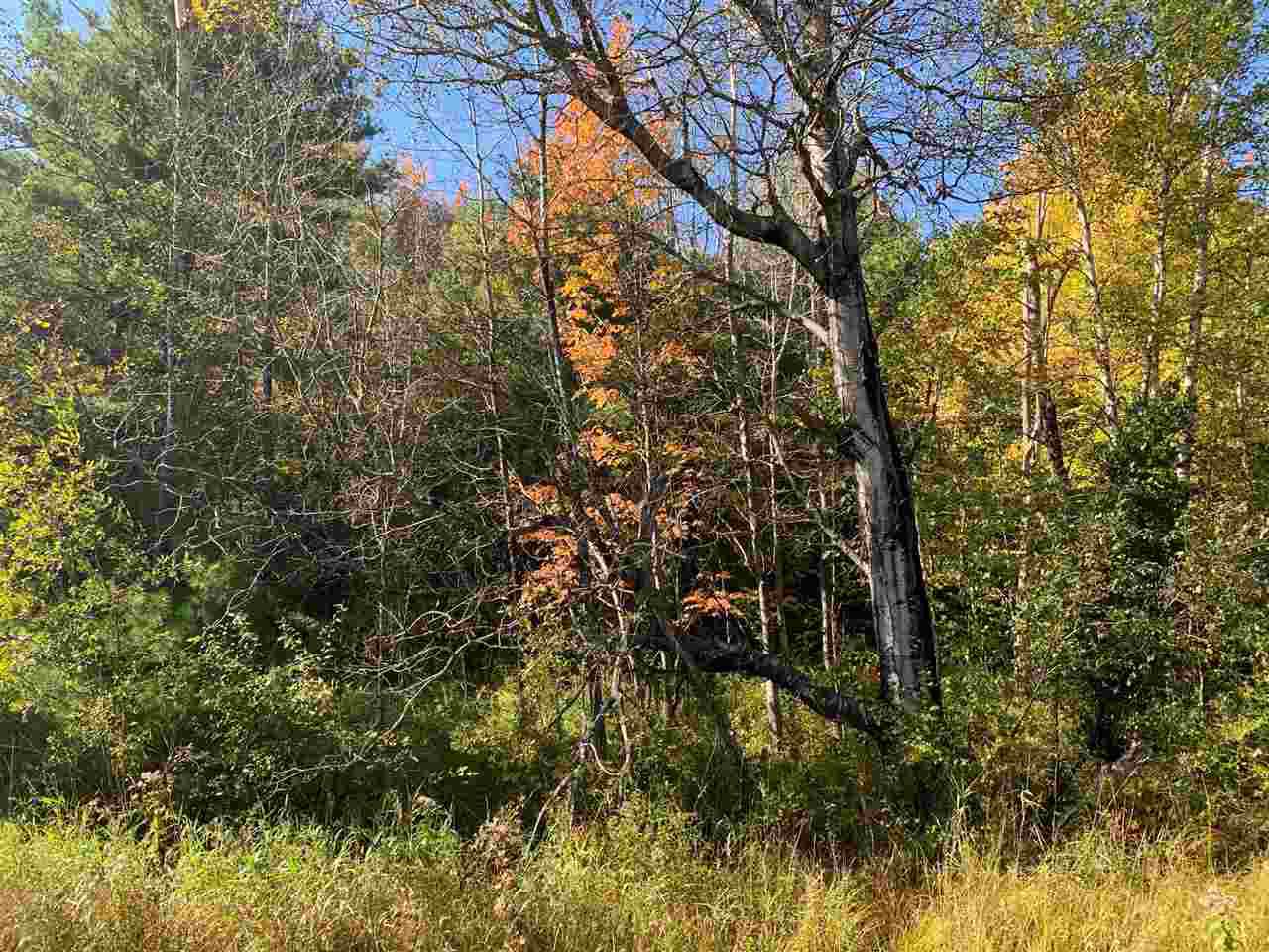 Lot 3 Old Stage Road - Photo 1