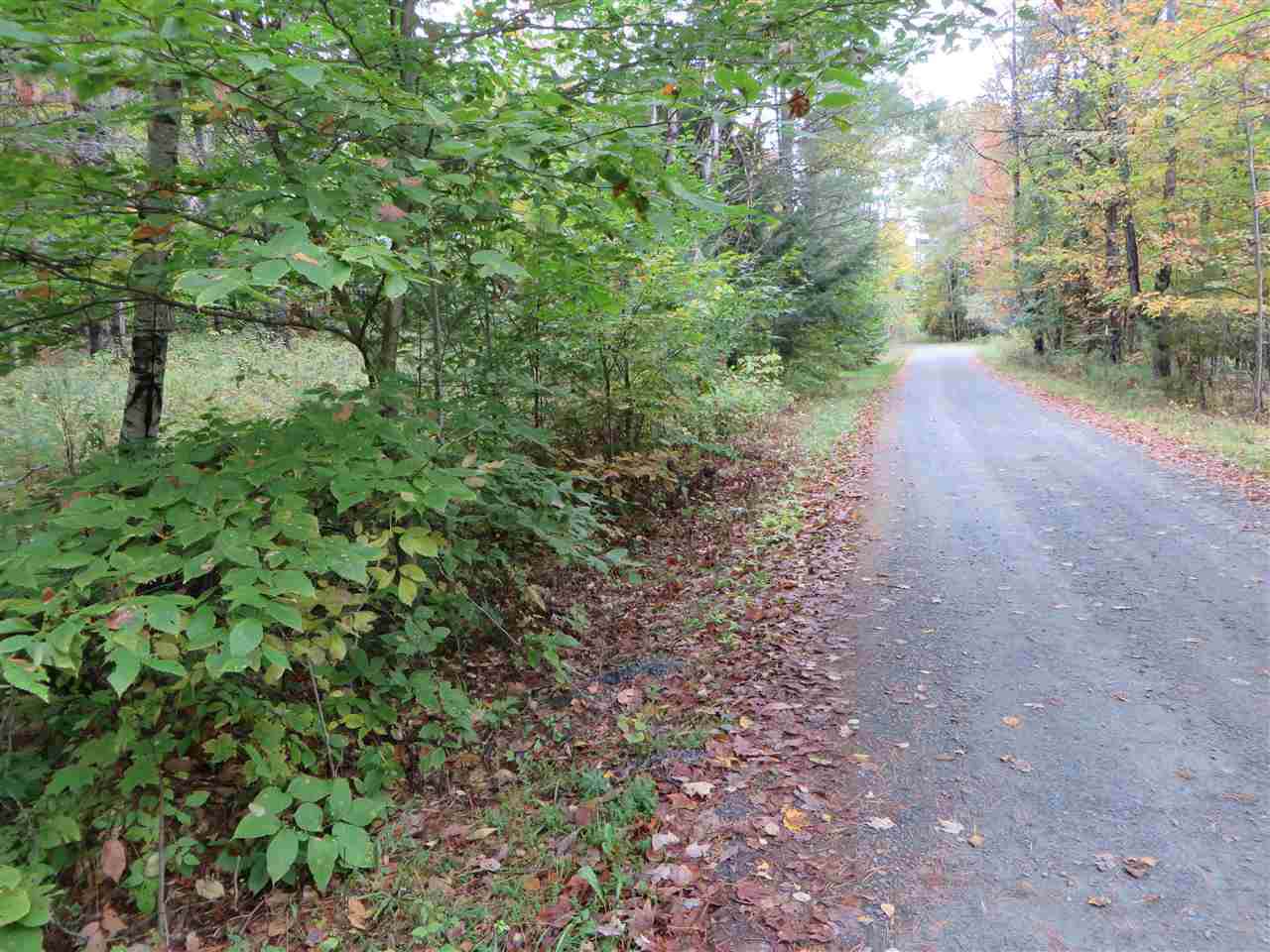 Lot #B-6 Chamberlain Lane - Photo 1