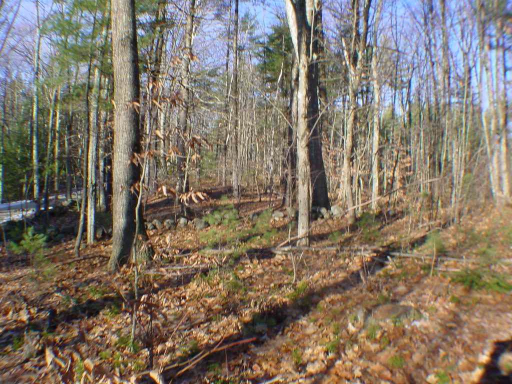 00 2nd Nh Turnpike North - Photo 1
