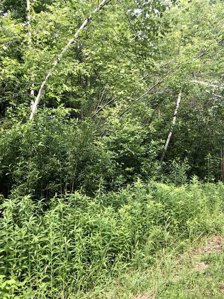 000 Hillside Avenue - Photo 1