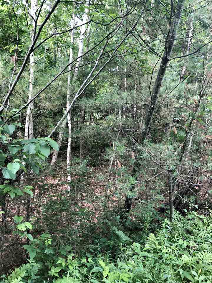 0000 Hillside Avenue - Photo 1