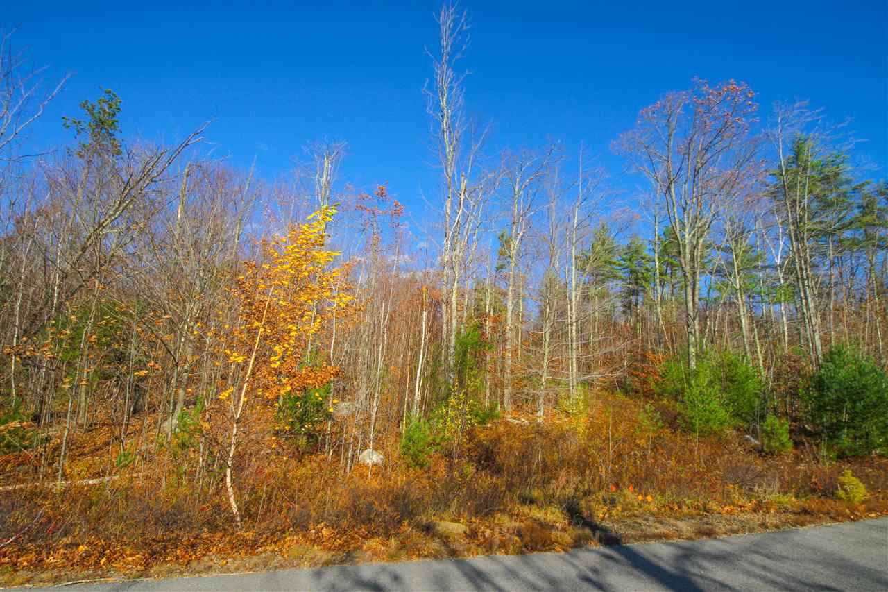 152-18-02 Lady Slipper Lane - Photo 1