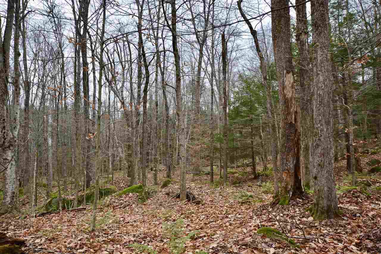 Brushbrook Road - Photo 1