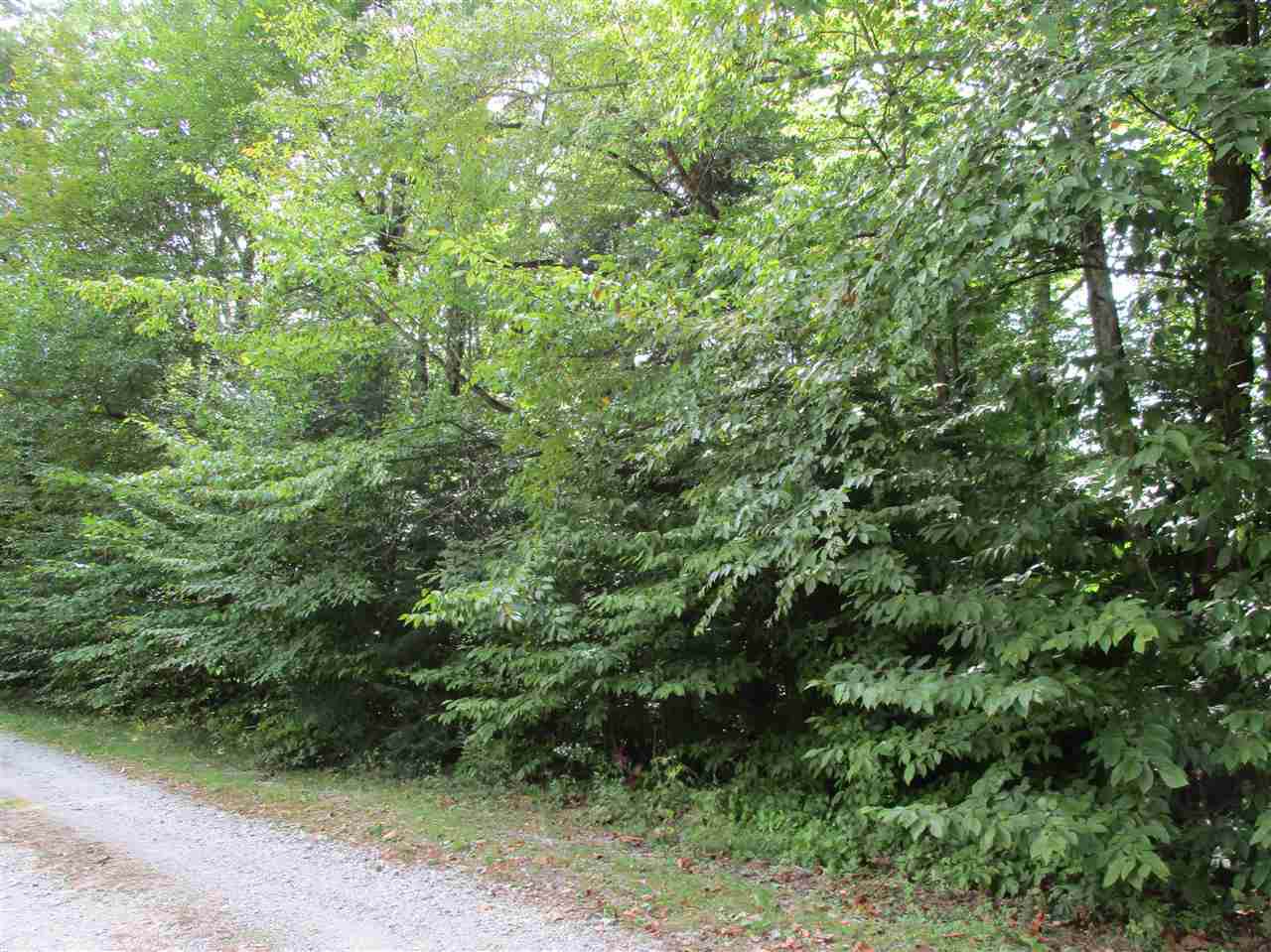 27 Kesick Swamp Road - Photo 1