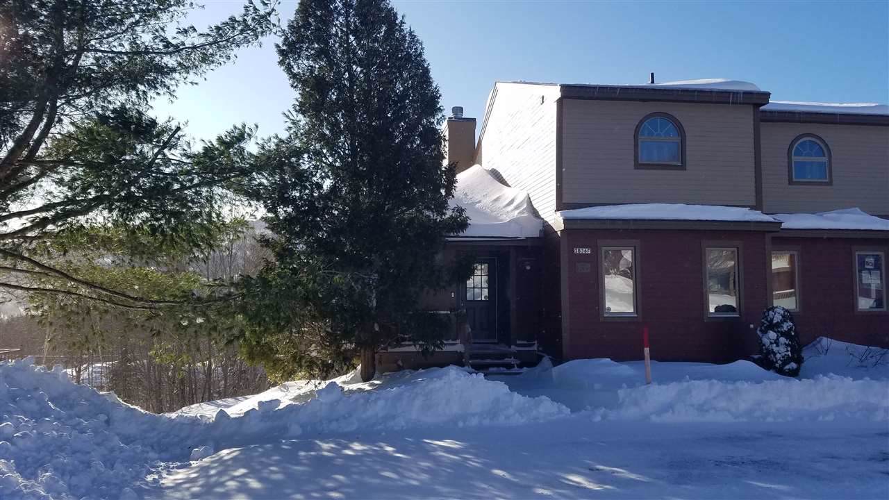 36F Silver Birch - Photo 1